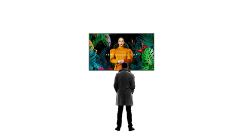Monitor profesional