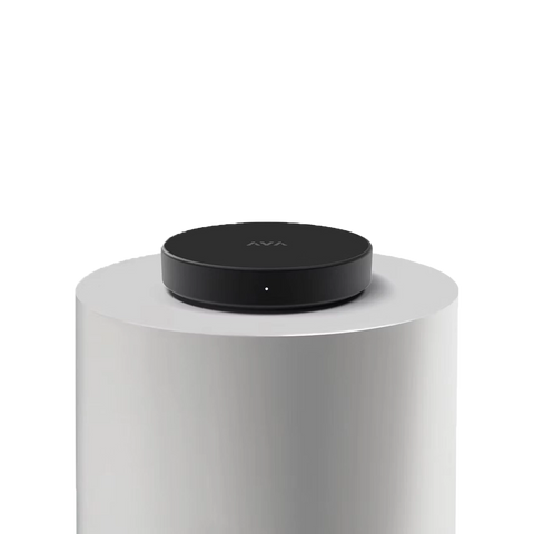 AVA Nano Brain