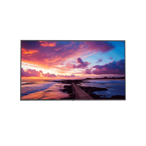 Dahua DHI-LM98-S400 | Monitor profesional