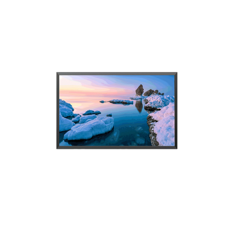 Dahua LDH50-LAI400L | Monitor profesional