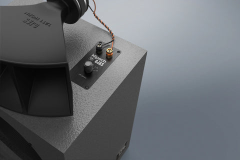 Klipsch Ojas kO-R1 conexiones altavoz