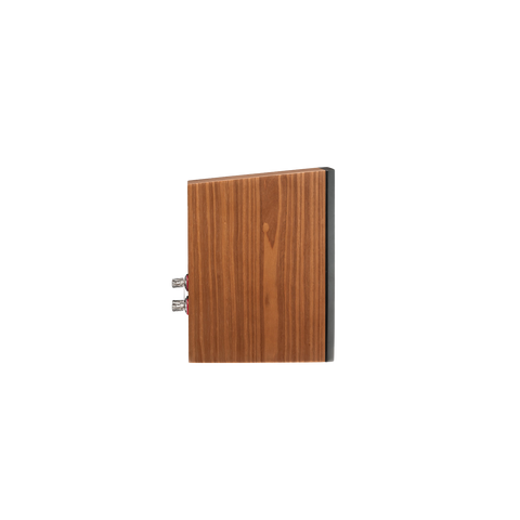 Martin Logan Motion XT B100