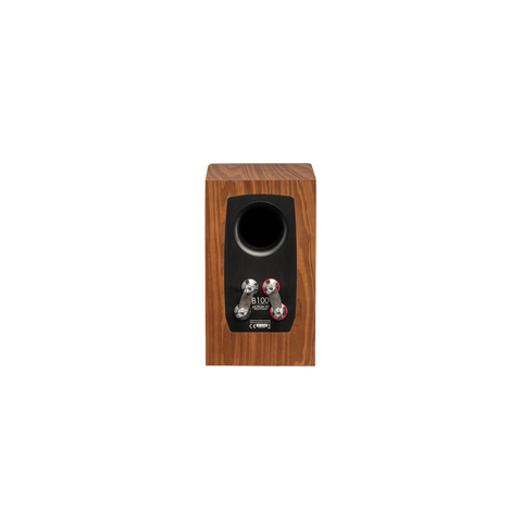Martin Logan Motion XT B100