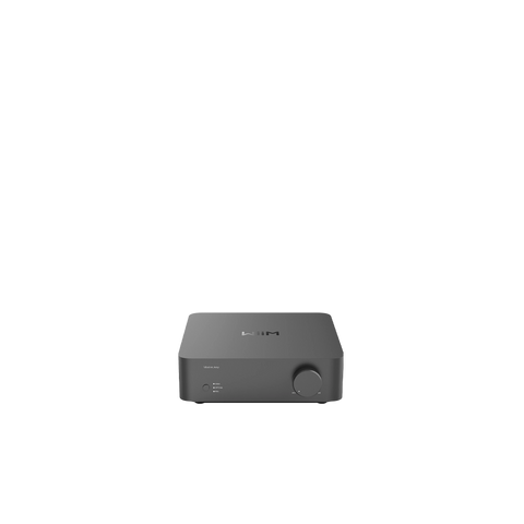 Wiim Vibelink Amp