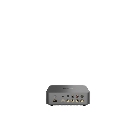Wiim Vibelink Amp