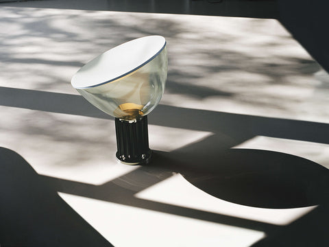 Flos Taccia