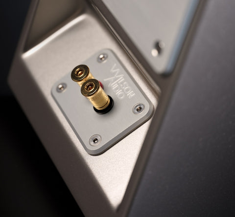 Wilson Audio tunetot detalle conectores