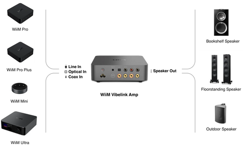 wiim vibelink amp conexiones