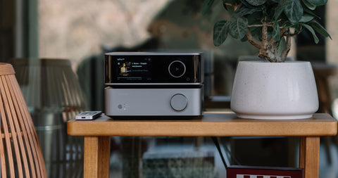 Wiim Vibelink Amp