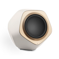 Bang & Olufsen Beolab 19 gold
