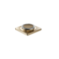Devialet-Astra-gold-leaf-control
