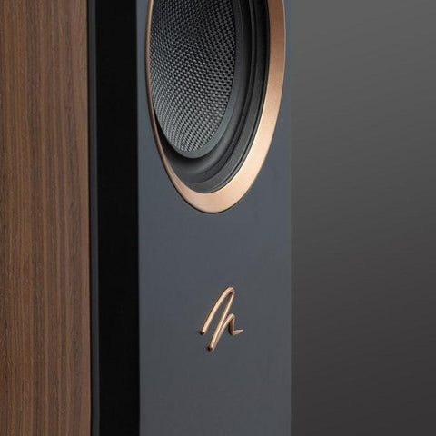 Martin Logan XT F200