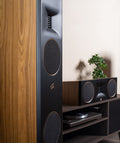 Martin Logan XT F200