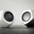 Bang & Olufsen Beolab 19 | Altavoz Subwoofer Hifi autoamplificado