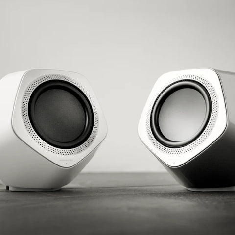 Bang & Olufsen Beolab 19 | Altavoz Subwoofer Hifi autoamplificado