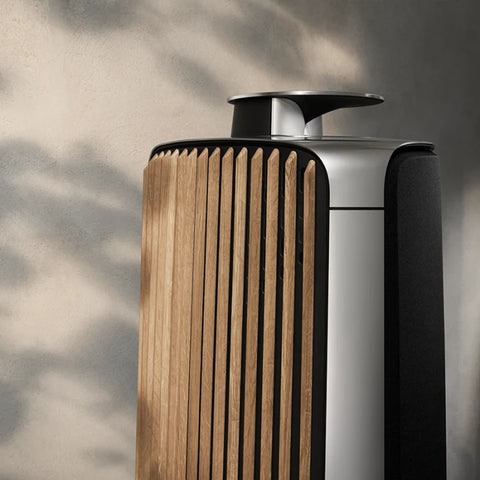 Bang & Olufsen Beolab 50 detalle