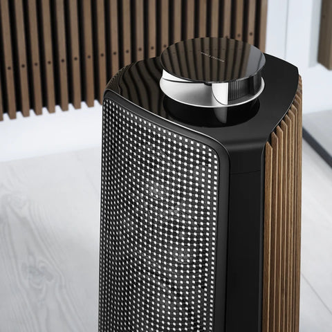 Bang & Olufsen Beolab 50 black