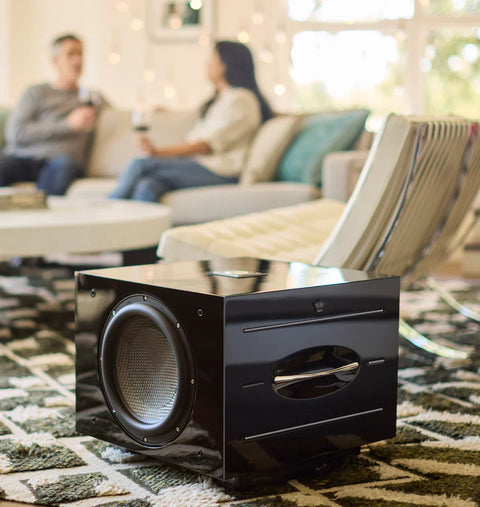 rel-carbon-special-instalacion-hifi