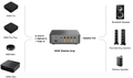 wiim vibelink amp conexiones